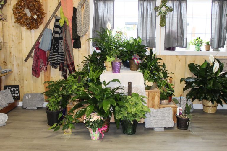 CJ Flowers 2 768x512