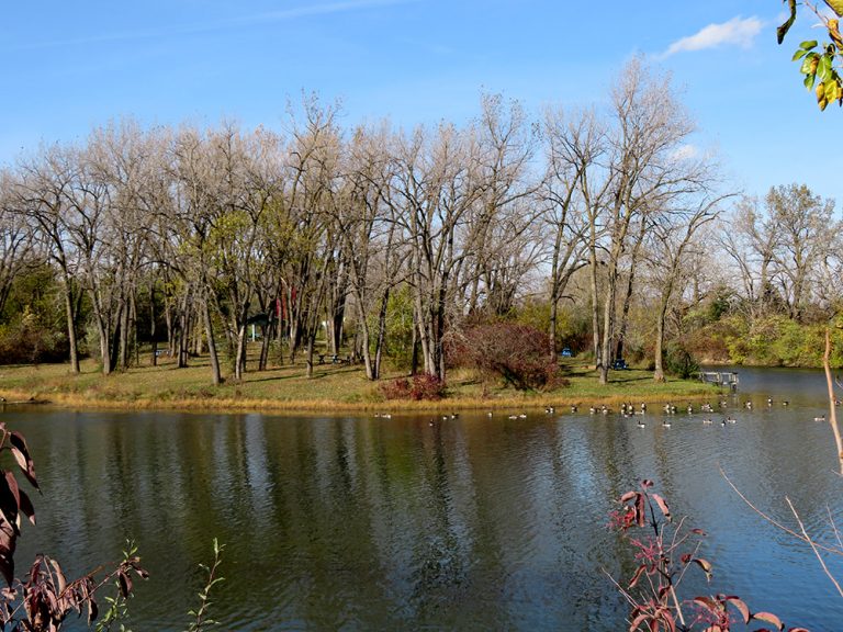 FC Recreation Area 6 768x576