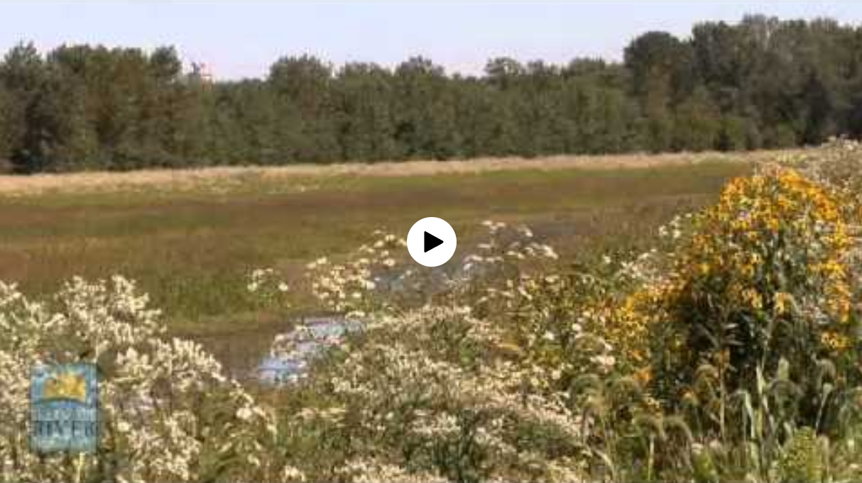 Conservation in Action