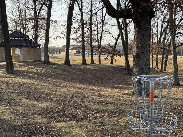 basket and pavilions 768x576