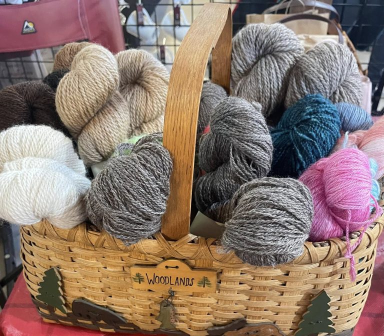 Alpaca Shoppe 1 768x672